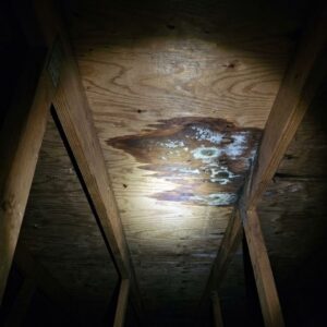 Interior attic inspection for water damage
