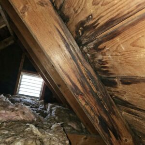 rotting wood in attic