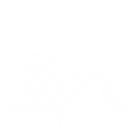 A white line icon showing a house roof with shingles blowing off, indicating wind damage or missing materials.