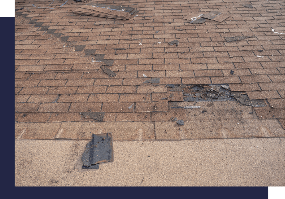 shingles damaged in the storm